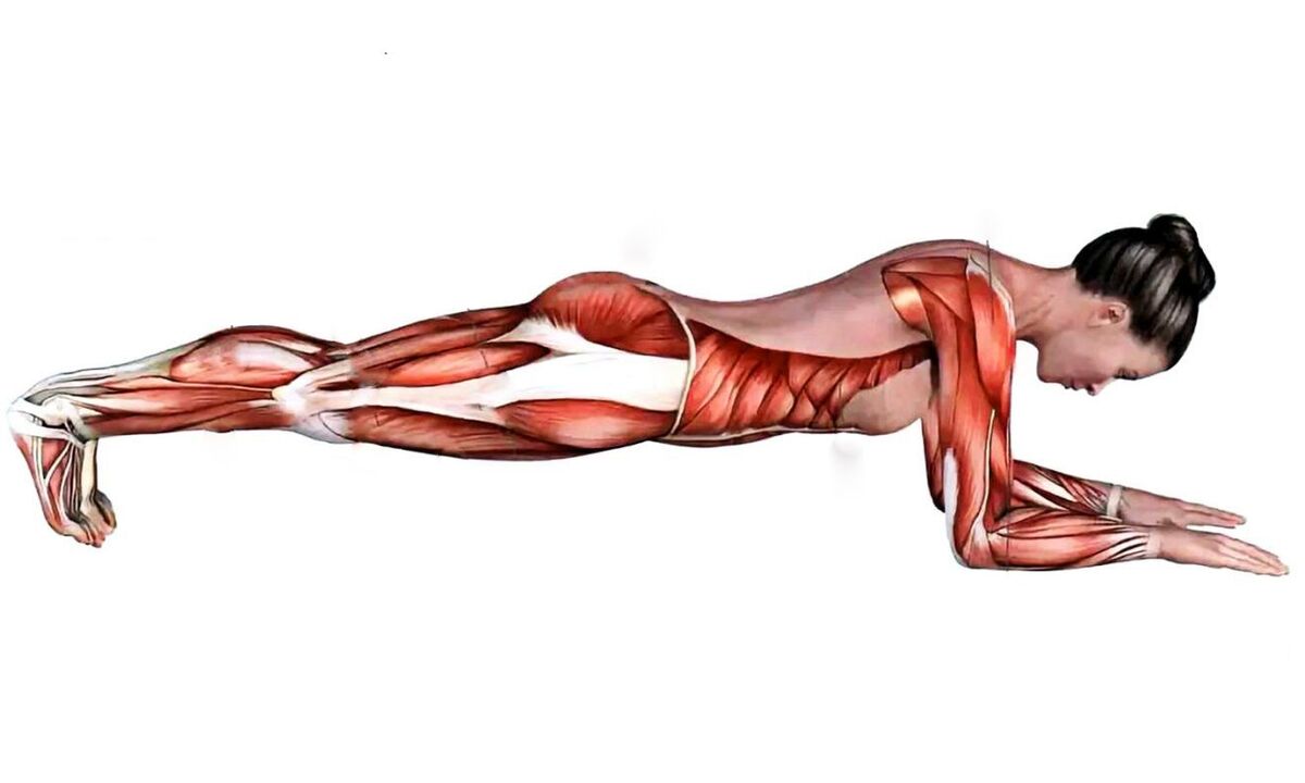 प्लैंक करते समय कौन सी मांसपेशियां काम करती हैं 